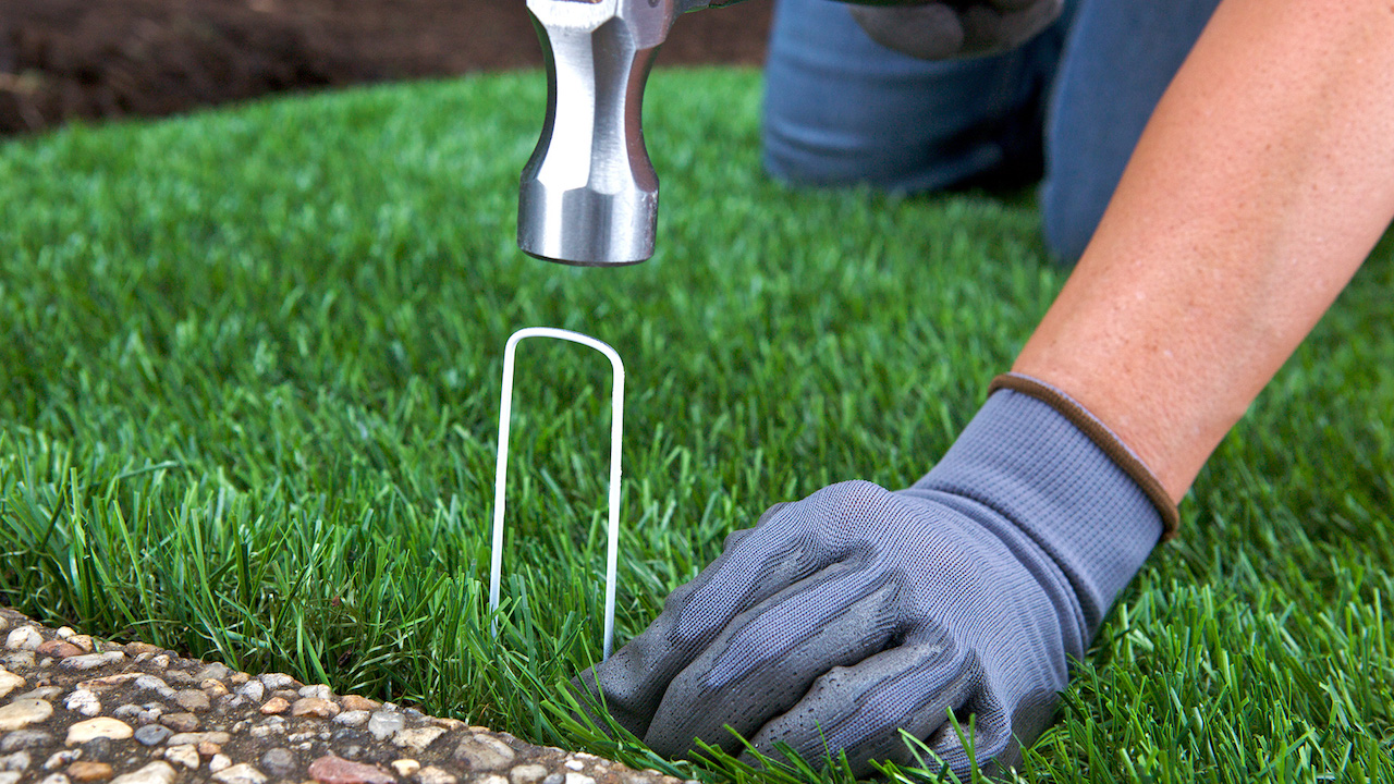 Securing turf by hammering pins through turf