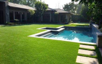 Multi-Use Artificial Turf Fulfills All Lawn & Landscaping Needs