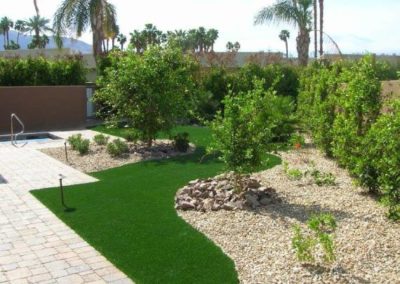 Shot of a residential artificial grass backyard