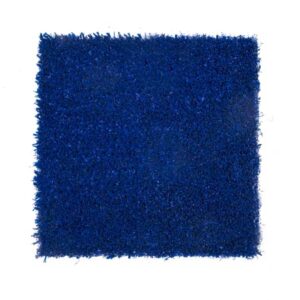 Blue Agility Turf for Gyms