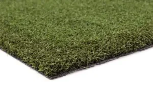 Artificial Grass